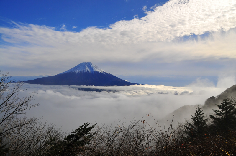 富士山画像作品