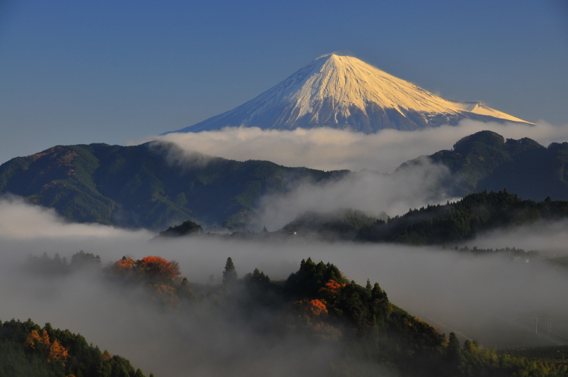 富士山画像作品