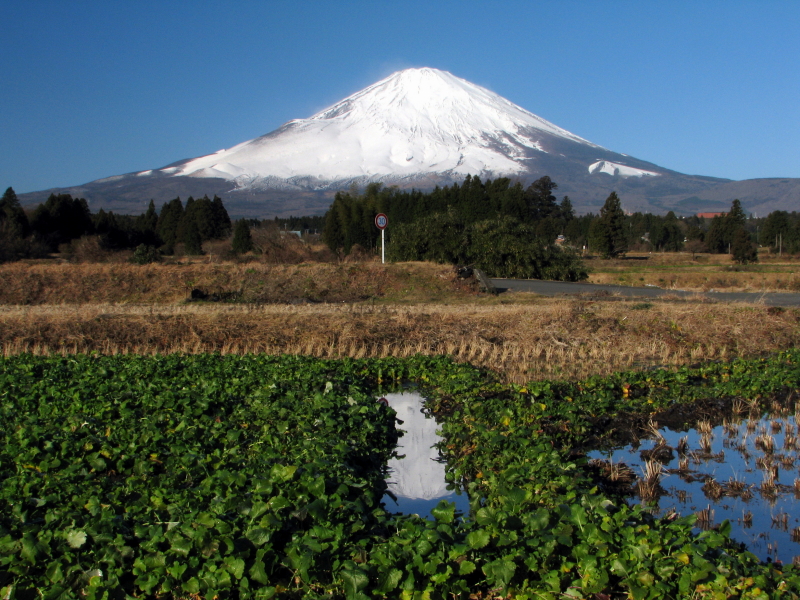 富士山画像記録