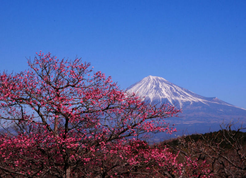 富士山画像作品