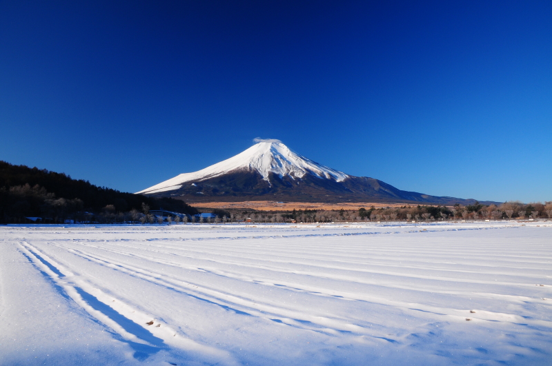 富士山画像記録