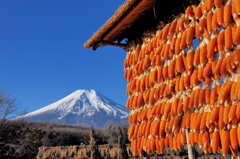 富士山画像作品