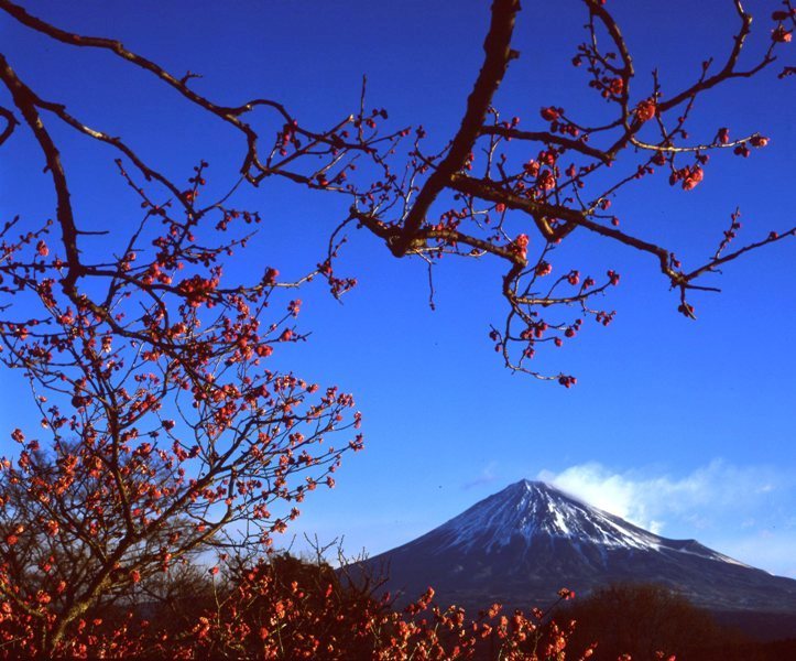 富士山画像作品