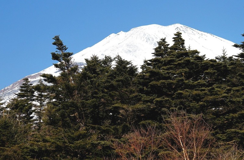 富士山画像作品