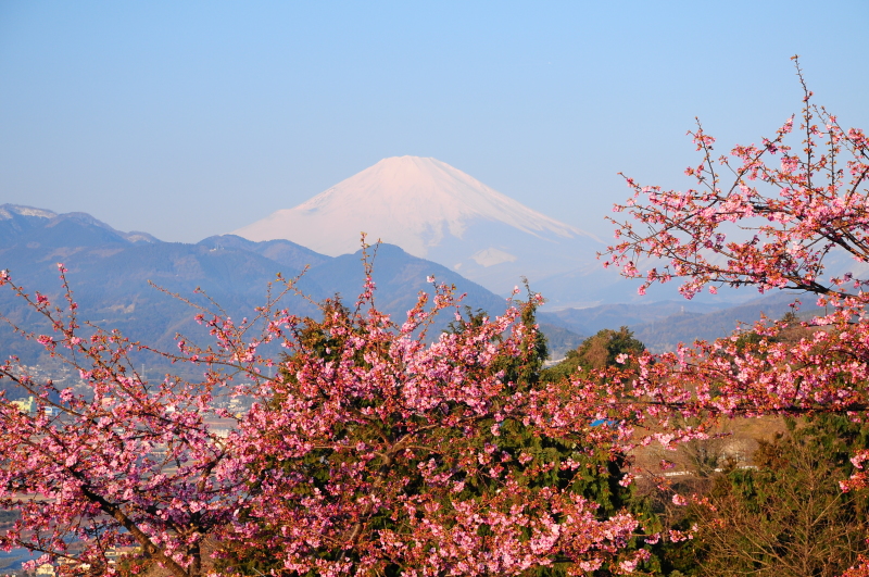 富士山画像記録