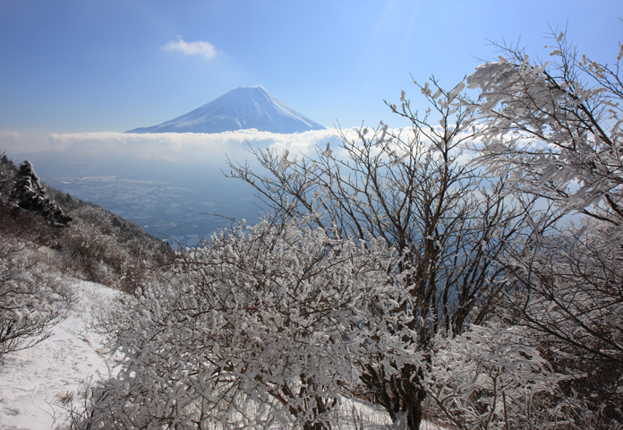 富士山画像記録