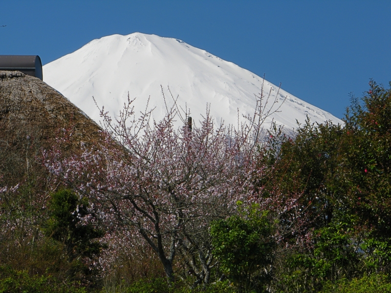 富士山画像作品