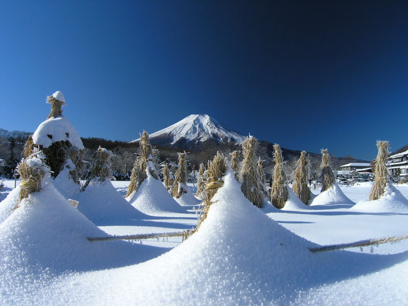 富士山画像記録