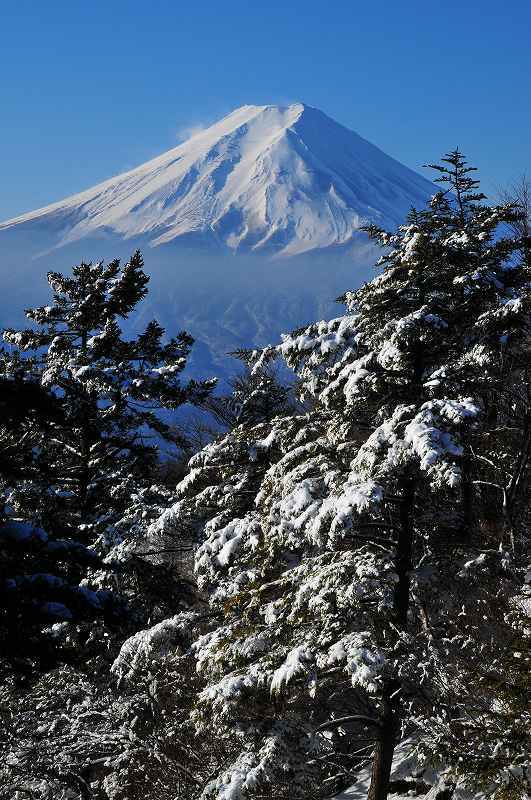 富士山画像作品