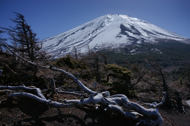 富士山画像作品