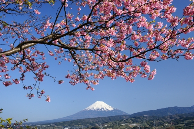 富士山画像記録