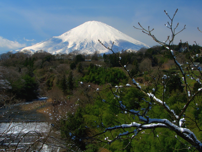 富士山画像作品