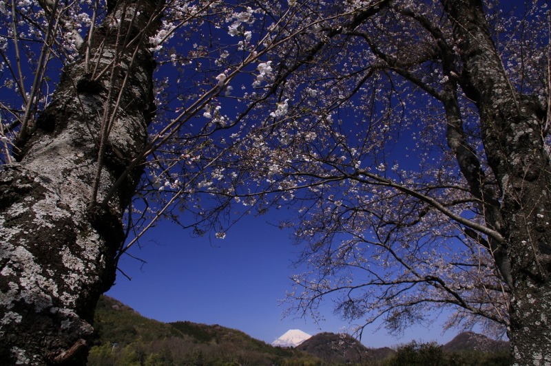 富士山画像作品