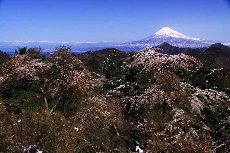 富士山画像作品