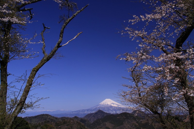 富士山画像作品