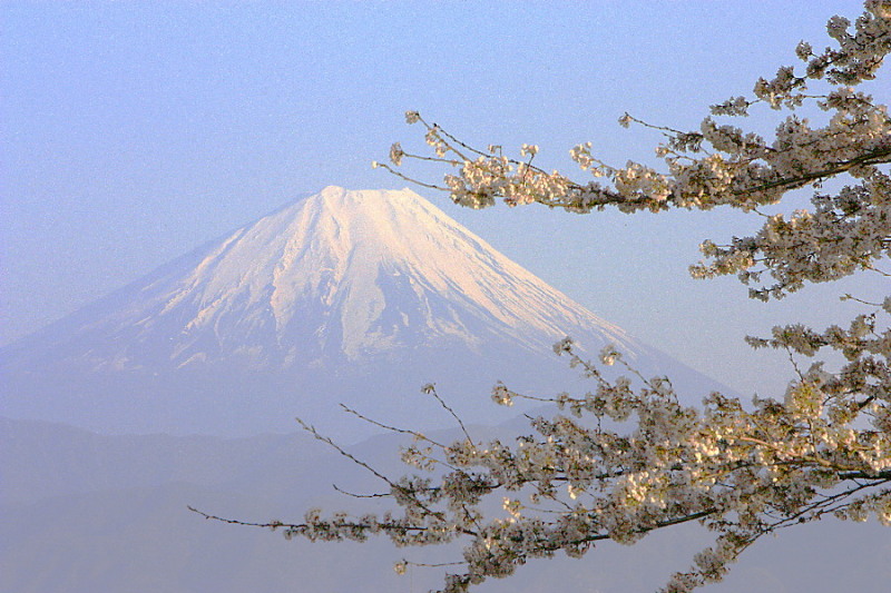 富士山画像作品