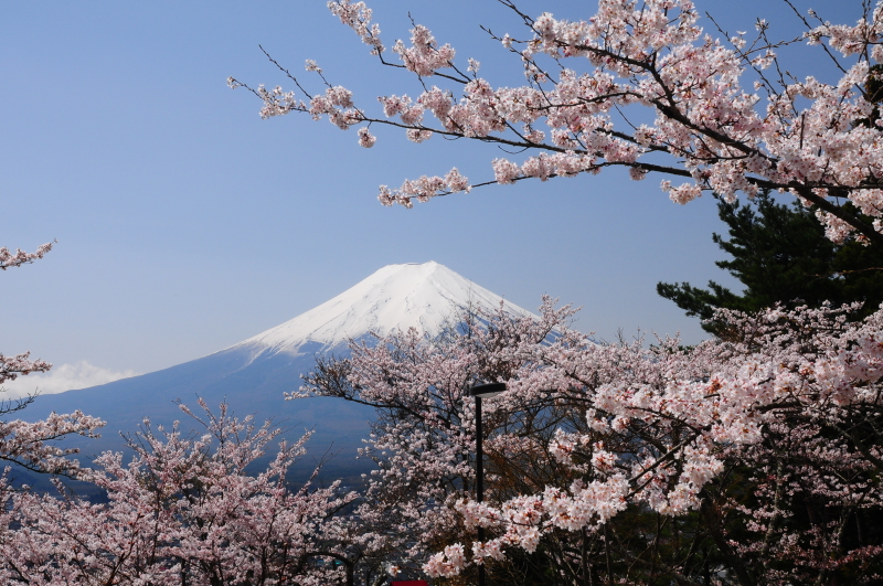 富士山画像作品