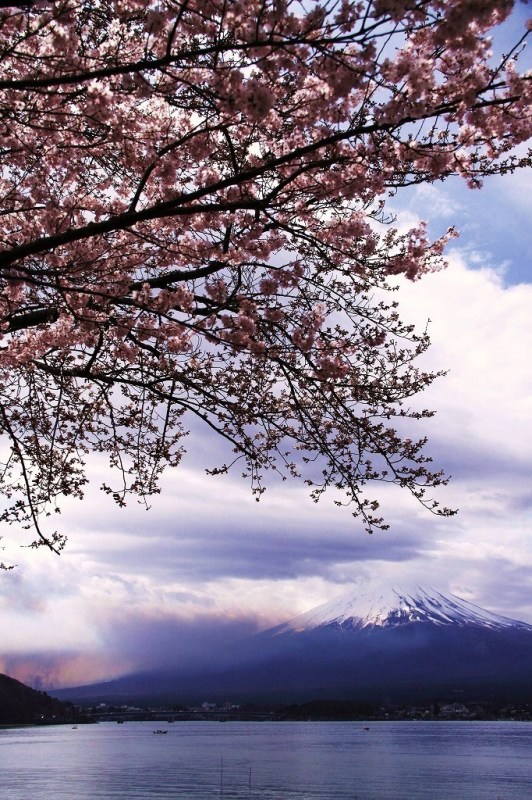 富士山画像作品