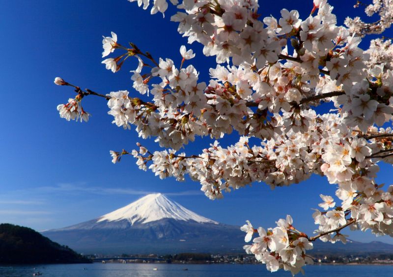 富士山画像作品