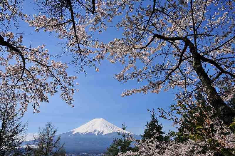 富士山画像作品