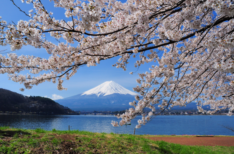 富士山画像作品