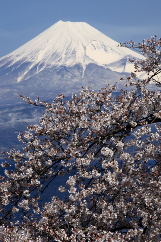 富士山画像作品