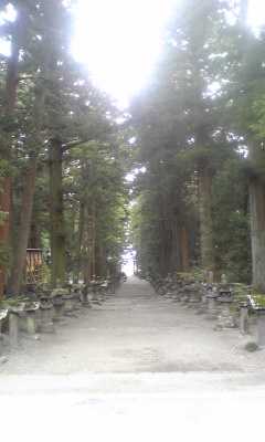 富士山周辺風景