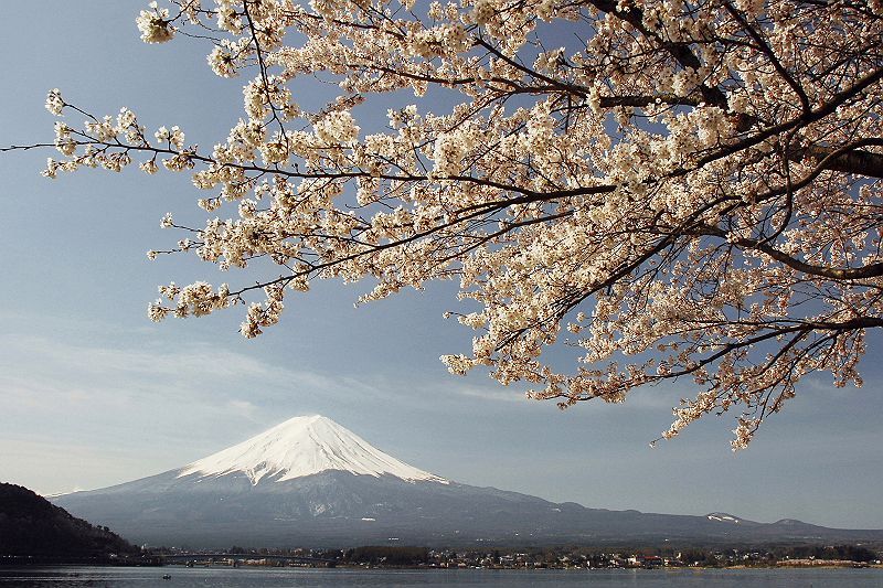 富士山画像作品