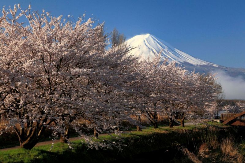 富士山画像作品