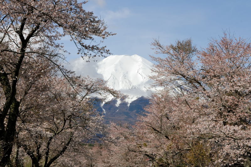 富士山画像記録