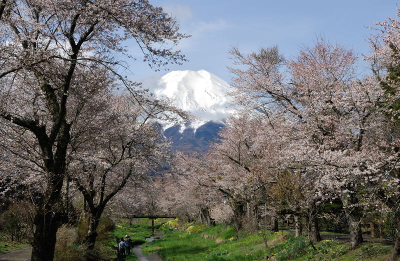 富士山画像記録