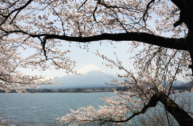 富士山画像記録