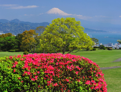 富士山画像作品