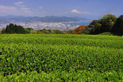 富士山画像作品