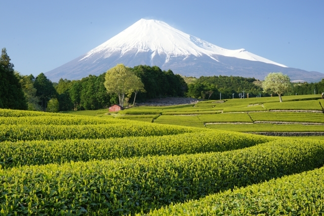 富士山画像作品