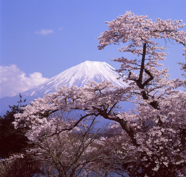 富士山画像作品