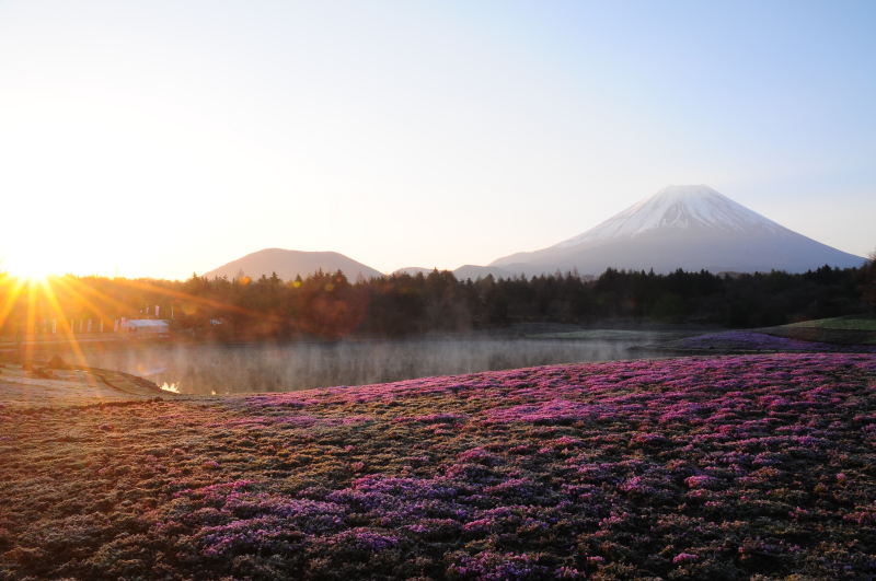 富士山画像記録