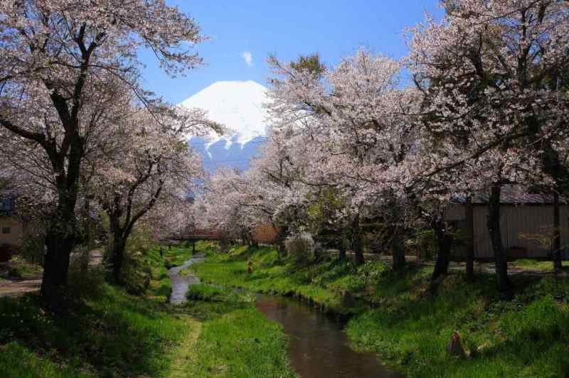 富士山画像作品