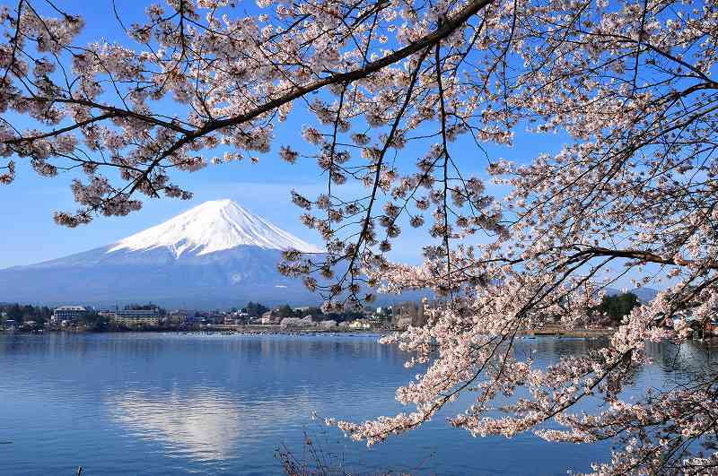 富士山画像作品