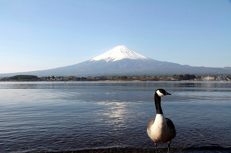 富士山画像作品