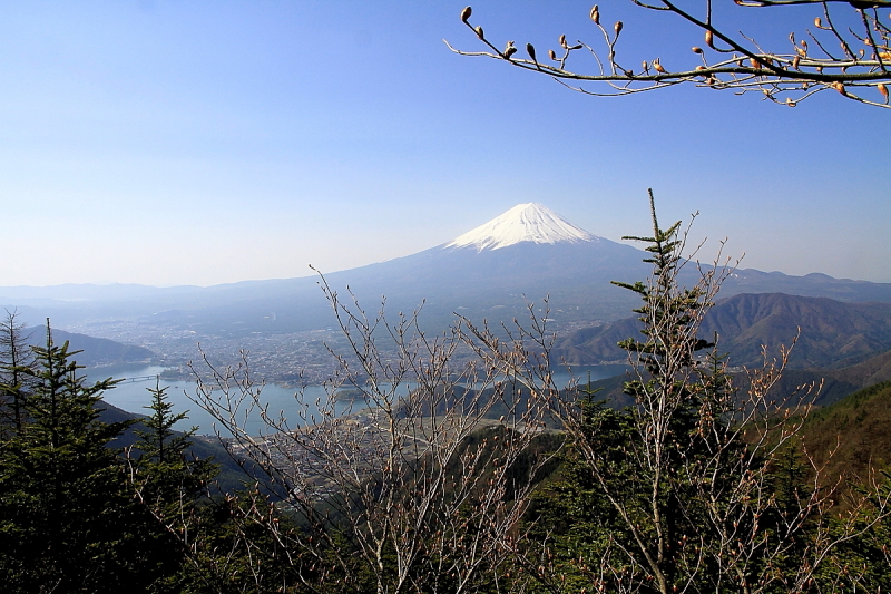 富士山画像作品