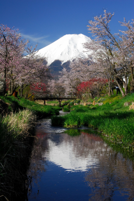 富士山画像作品