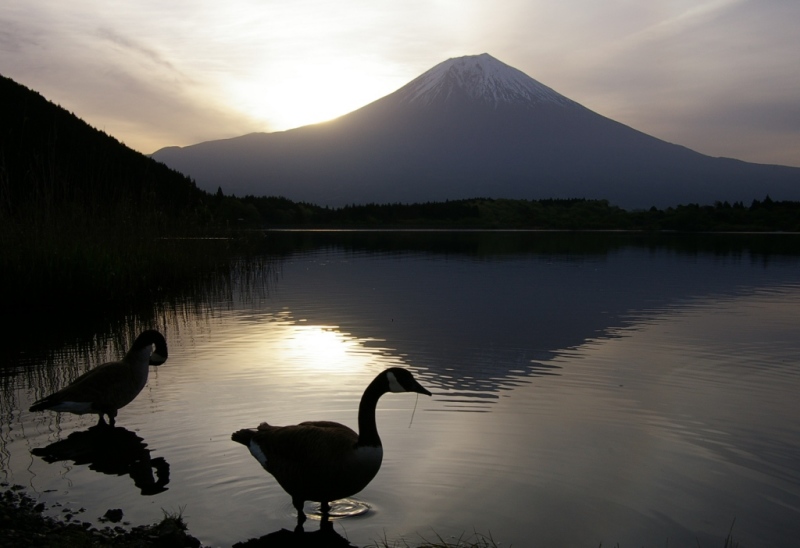 富士山画像作品