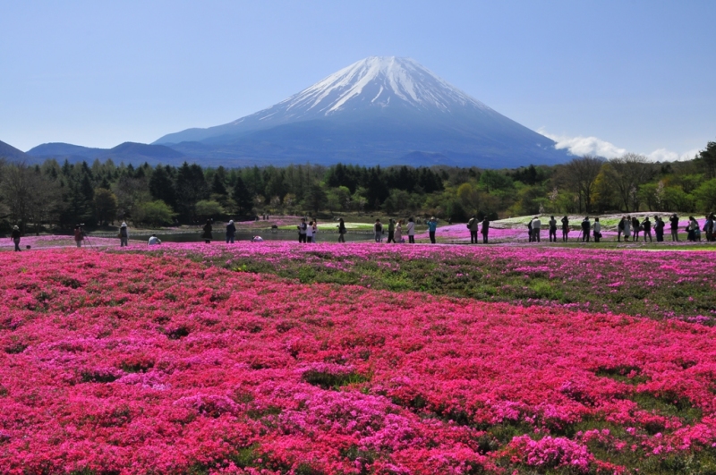 富士山画像作品