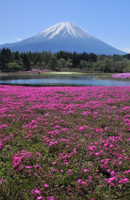 富士山画像作品