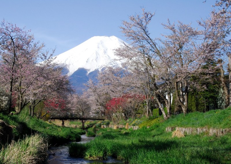 富士山画像作品