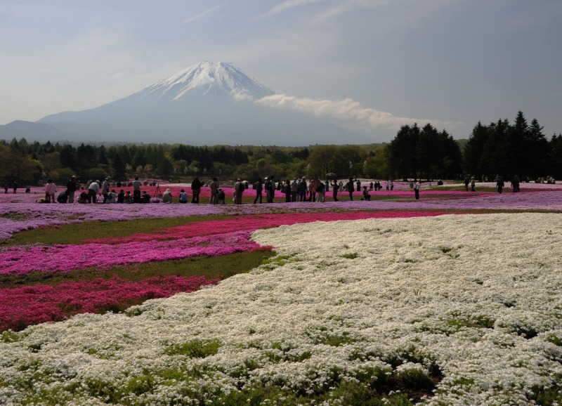 富士山画像作品