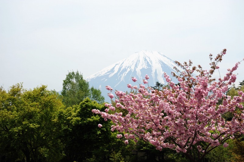 富士山画像作品