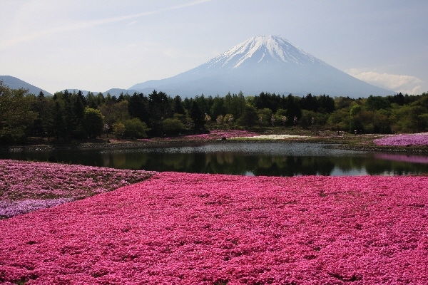 富士山画像作品