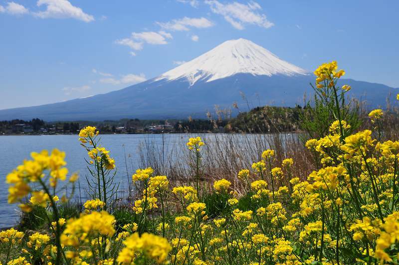 富士山画像作品